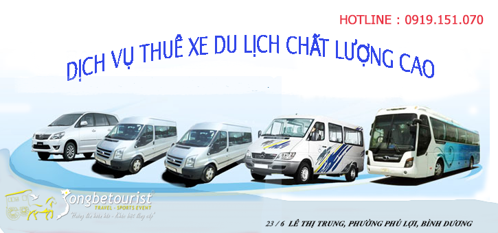 Dịch vụ cho Thuê xe 
